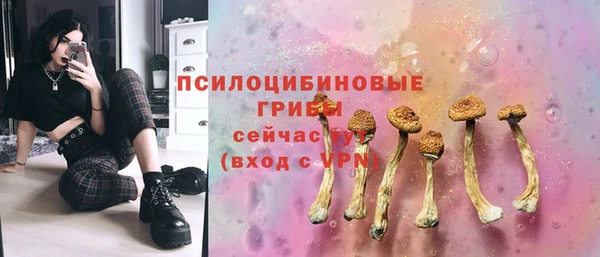 трава Надым