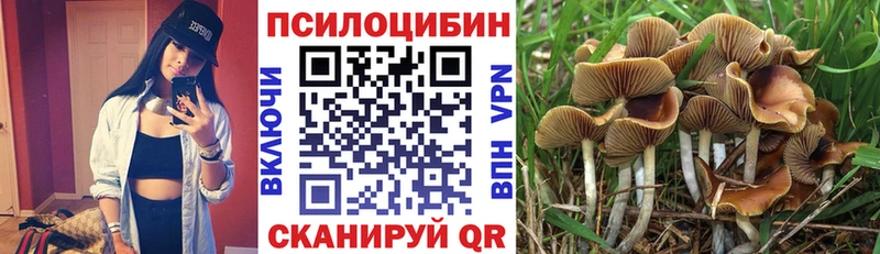 где купить   Катав-Ивановск  площадка клад  Псилоцибиновые грибы MAGIC MUSHROOMS 